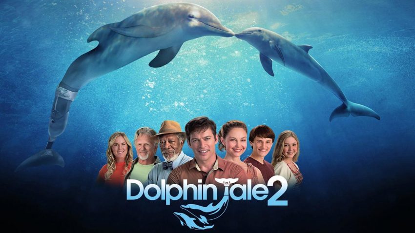 Dolphin Tale 2 (2014)
